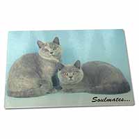 Large Glass Cutting Chopping Board British Blue-Cream Cats 