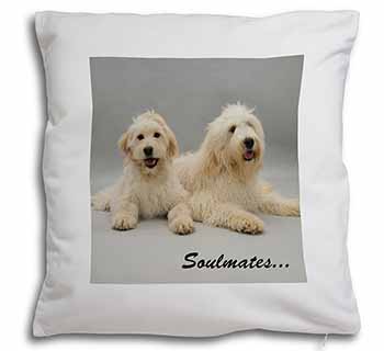 Labradoodle Dogs 