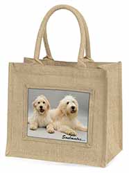 Labradoodle Dogs 