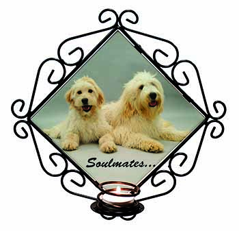 Labradoodle Dogs 