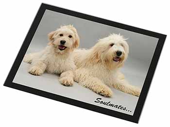 Labradoodle Dogs 