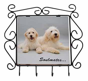 Labradoodle Dogs 