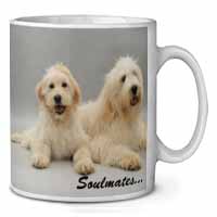 Labradoodle Dogs 