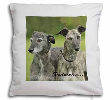 Whippet Dogs 