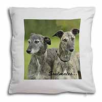Whippet Dogs 