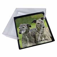 4x Whippet Dogs 