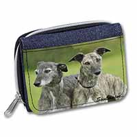Whippet Dogs 