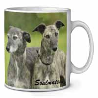 Whippet Dogs 