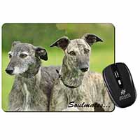Whippet Dogs 