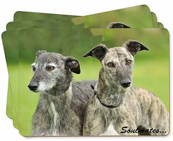 Whippet Dogs 