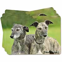 Whippet Dogs 