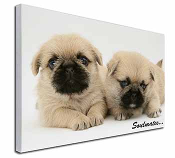 Pugzu Puppy Dogs 