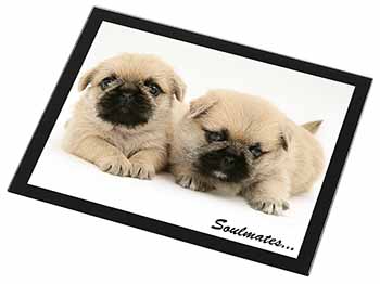 Pugzu Puppy Dogs 