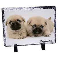 Pugzu Puppy Dogs 