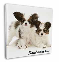 Papillon Puppy Dog 