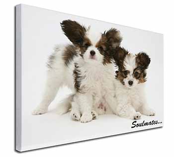 Papillon Puppy Dog 