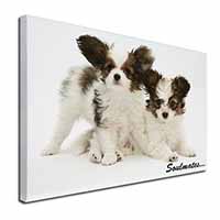 Papillon Puppy Dog 