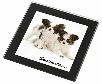 Papillon Puppy Dog 