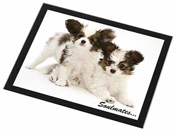 Papillon Puppy Dog 