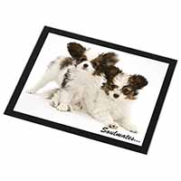 Papillon Puppy Dog 