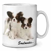 Papillon Puppy Dog 