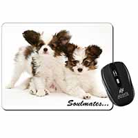 Papillon Puppy Dog 