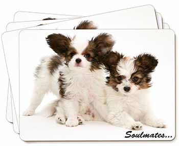 Papillon Puppy Dog 