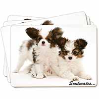 Papillon Puppy Dog 