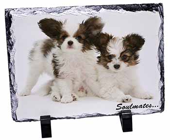 Papillon Puppy Dog 