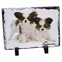 Papillon Puppy Dog 