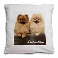 Pomeranian Dogs 