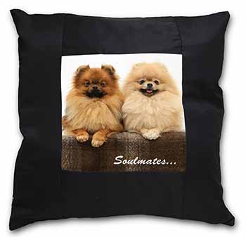 Pomeranian Dogs 