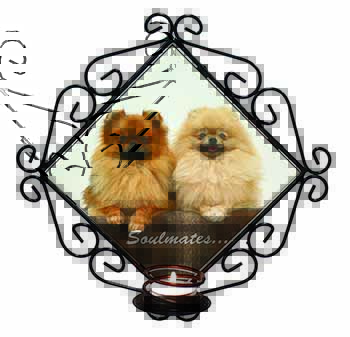 Pomeranian Dogs 