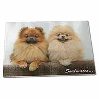 Large Glass Cutting Chopping Board Pomeranian Dogs 