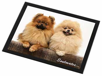 Pomeranian Dogs 