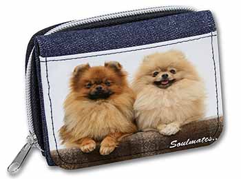 Pomeranian Dogs 