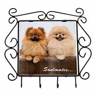 Pomeranian Dogs 