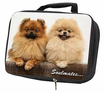 Pomeranian Dogs 