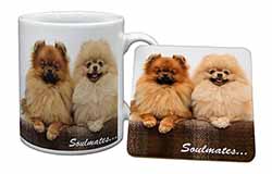 Pomeranian Dogs 