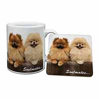 Pomeranian Dogs 