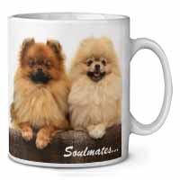 Pomeranian Dogs 