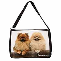 Pomeranian Dogs 