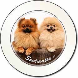 Pomeranian Dogs 