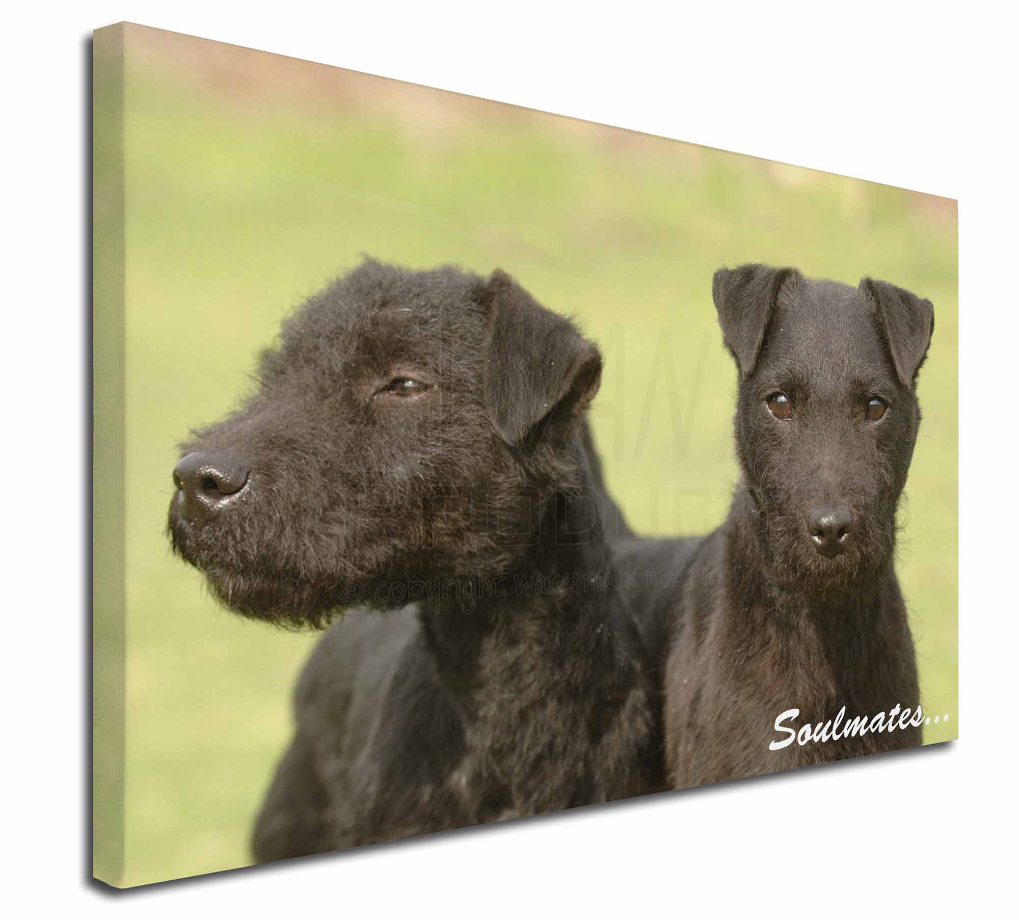 patterdale terrier keyring