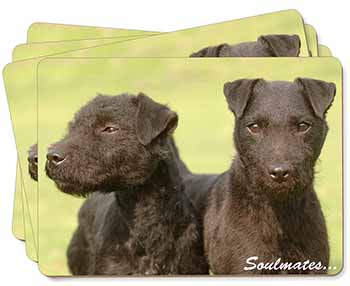 Patterdale Terrier Dogs 