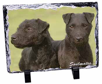 Patterdale Terrier Dogs 