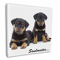 Rottweiler Puppy Dogs 