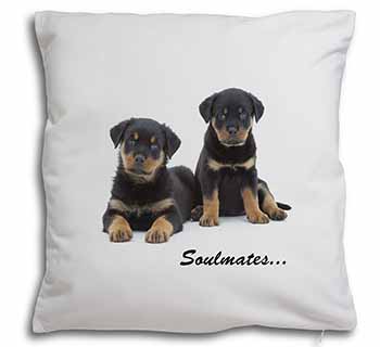 Rottweiler Puppy Dogs 