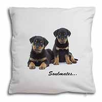 Rottweiler Puppy Dogs 