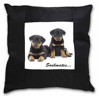 Rottweiler Puppy Dogs 